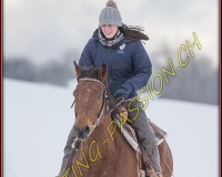 SEMSALES - 0683